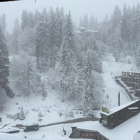 Pamporovo Living Cozy Mountain Appartement