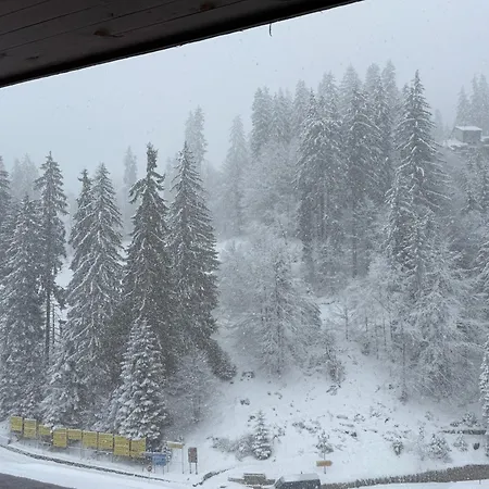 Pamporovo Living Cozy Mountain Apartment